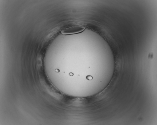 X0000110690128200907021943