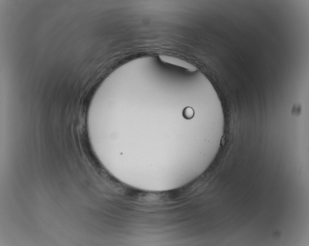 X0000110690129200907021943