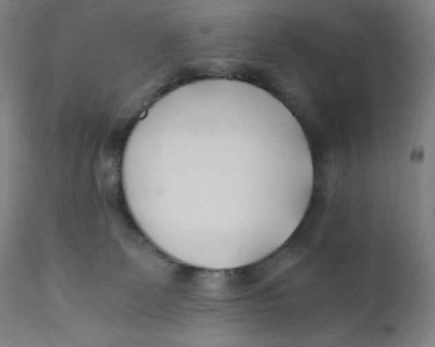 X0000110690131200907021942