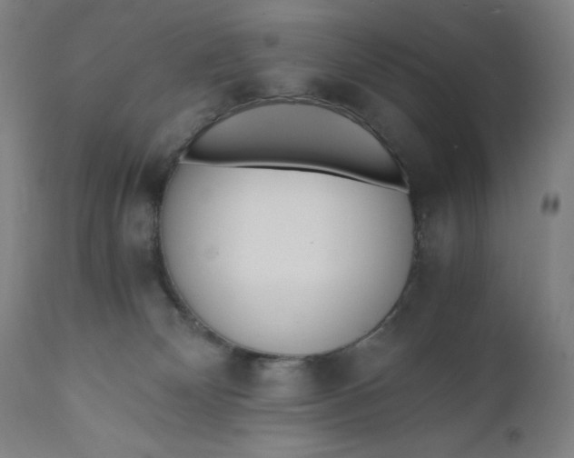 X0000110690132200907021942