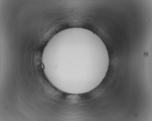 X0000110690133200907021942