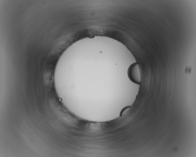 X0000110690134200907021942