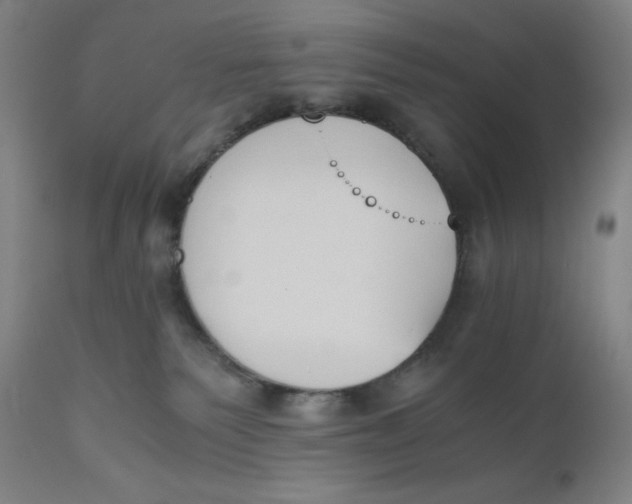 X0000110690135200907021942