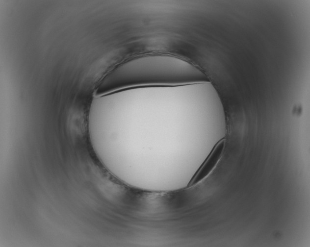 X0000110690136200907021942