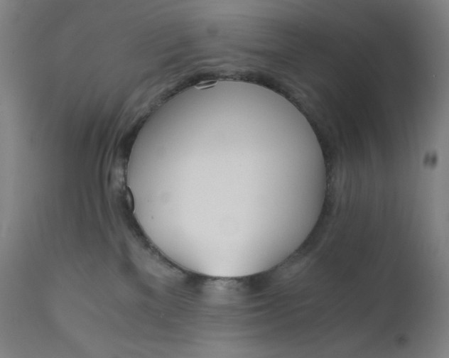 X0000110690137200907021942