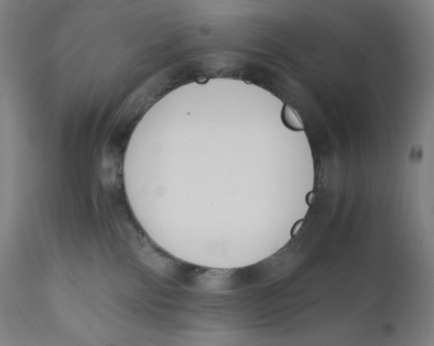 X0000110690138200907021942