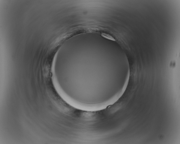 X0000110690139200907021942