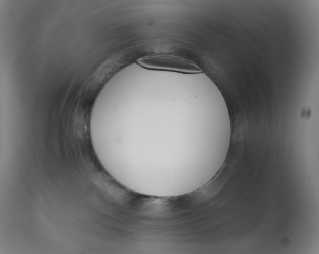 X0000110690140200907021942