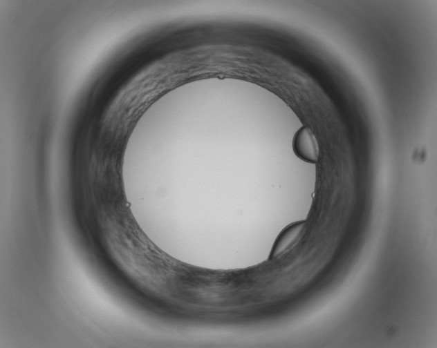 X0000110690142200907021942