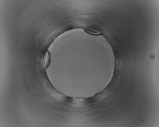 X0000110690143200907021942