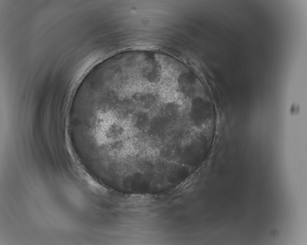 X0000110690145200907021942