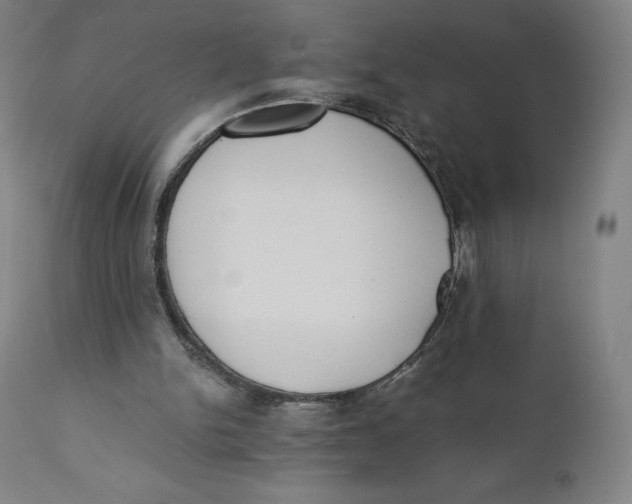 X0000110690150200907021942