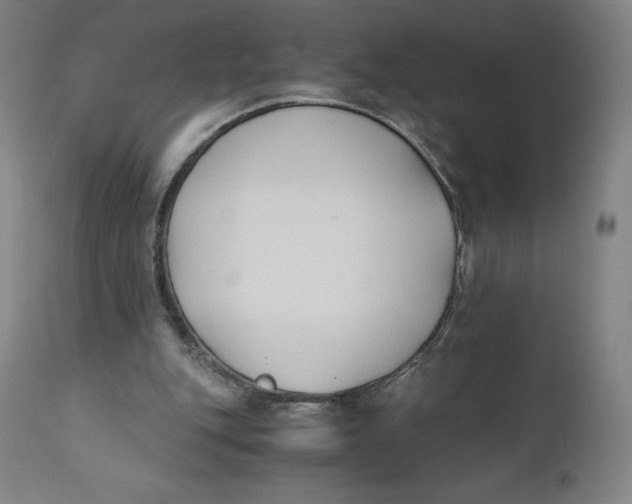 X0000110690151200907021942