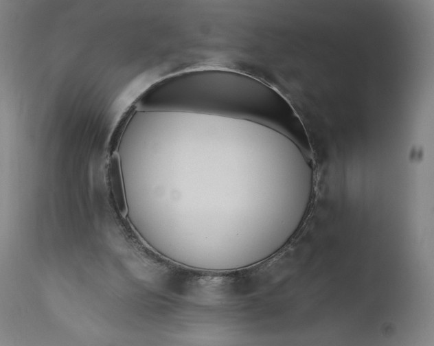 X0000110690152200907021942