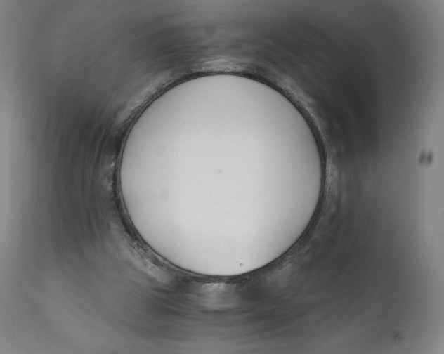 X0000110690153200907021942