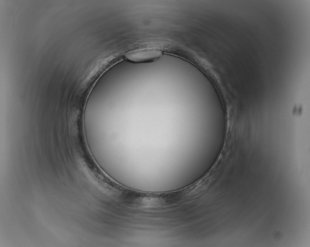 X0000110690154200907021942