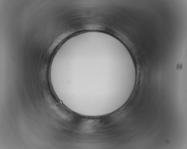 X0000110690155200907021942