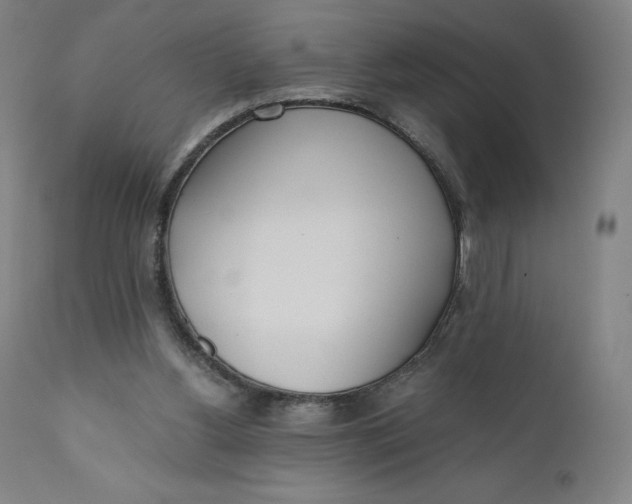 X0000110690156200907021942