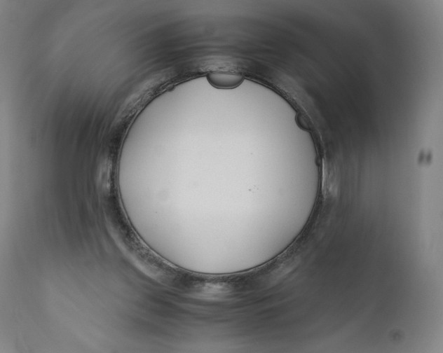 X0000110690157200907021942