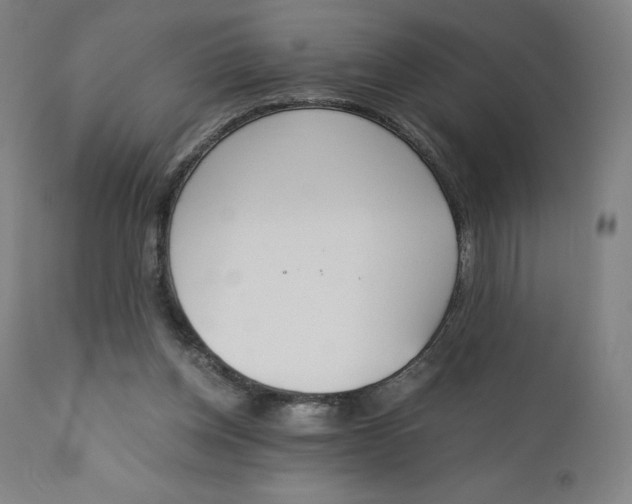 X0000110690158200907021942