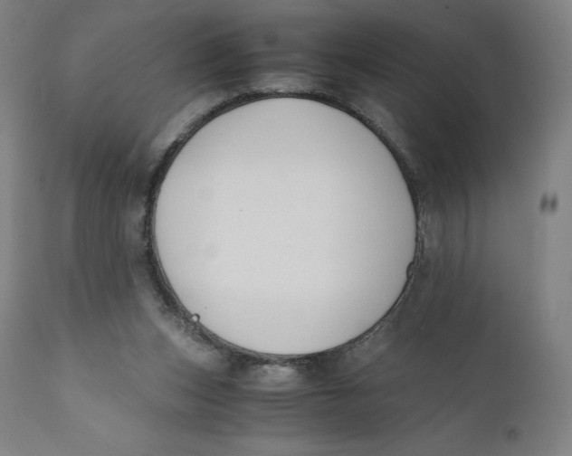 X0000110690159200907021942