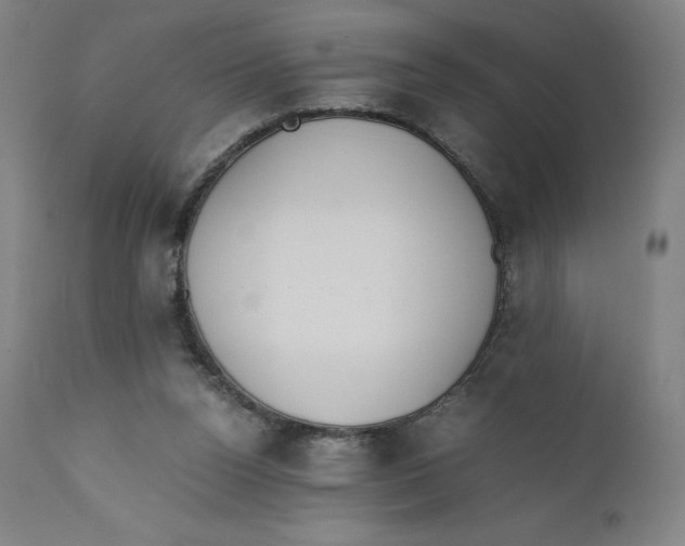 X0000110690160200907021942