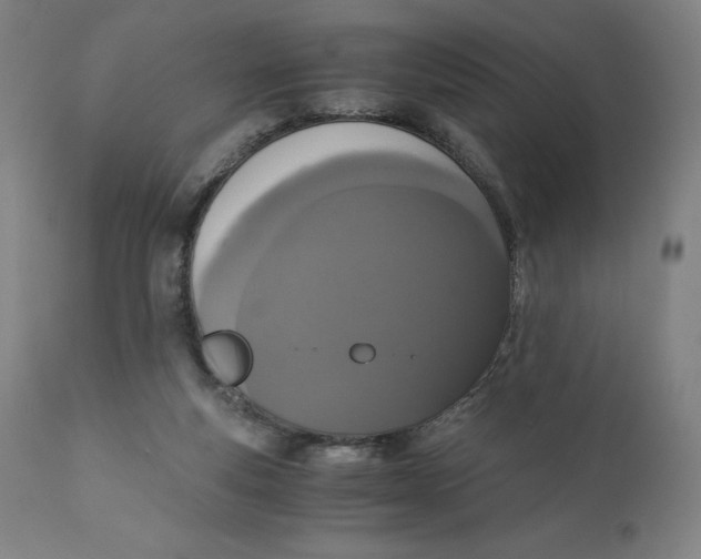 X0000110690163200907021942