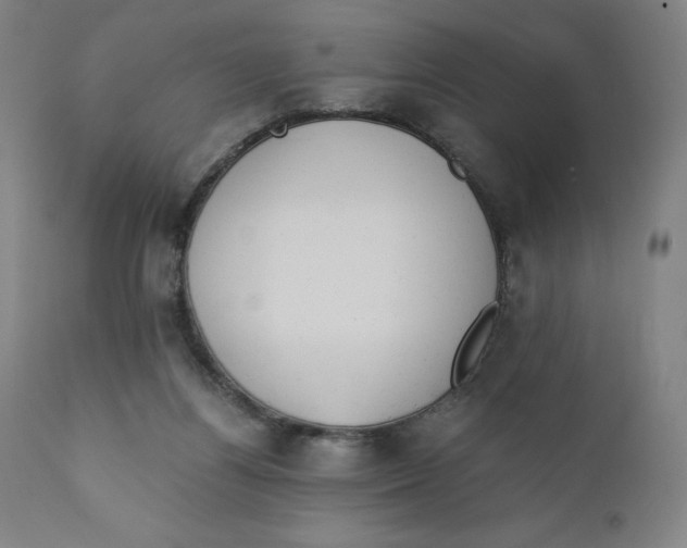 X0000110690164200907021942