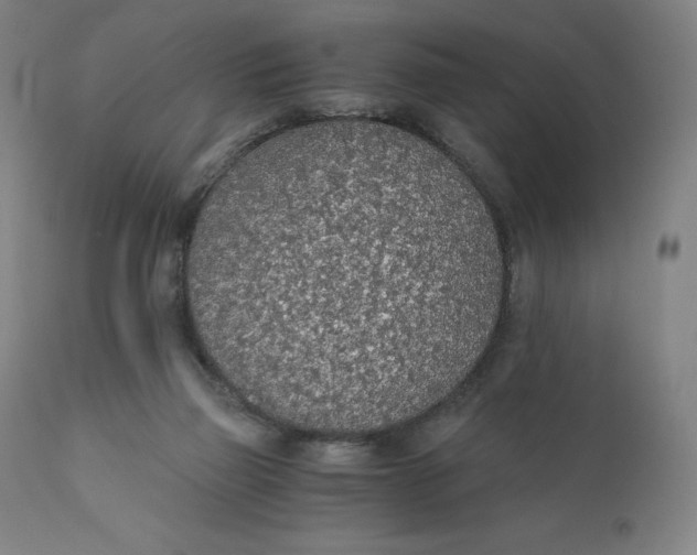 X0000110690165200907021942