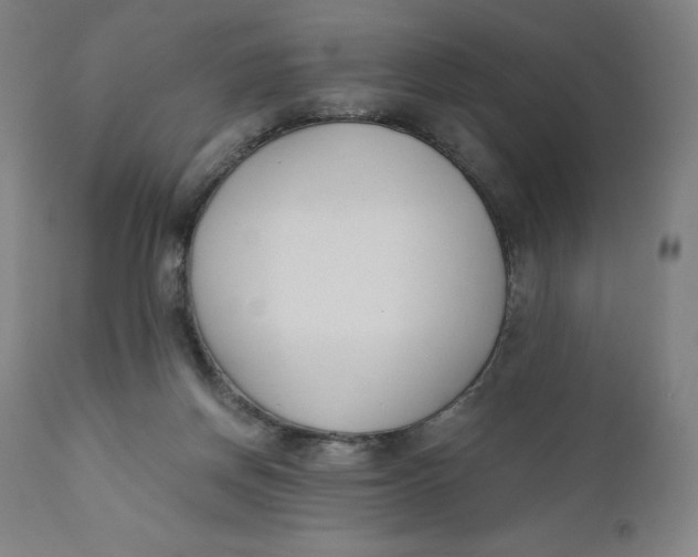 X0000110690166200907021942