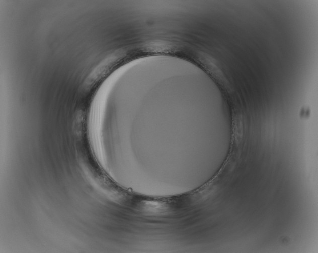 X0000110690167200907021942