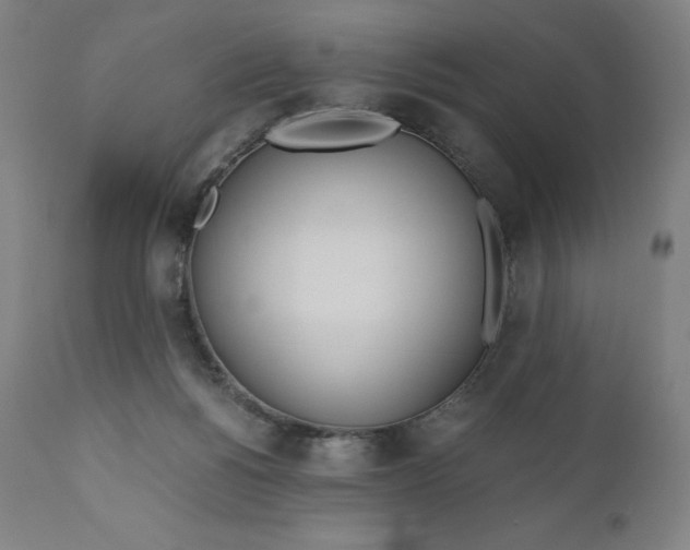 X0000110690168200907021942