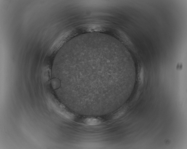 X0000110690169200907021942