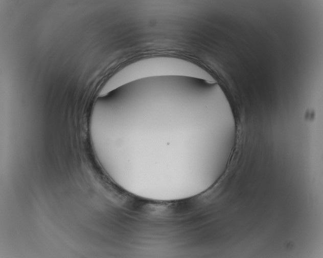 X0000110690170200907021942