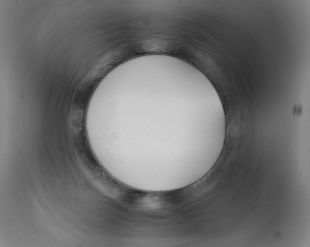 X0000110690171200907021942