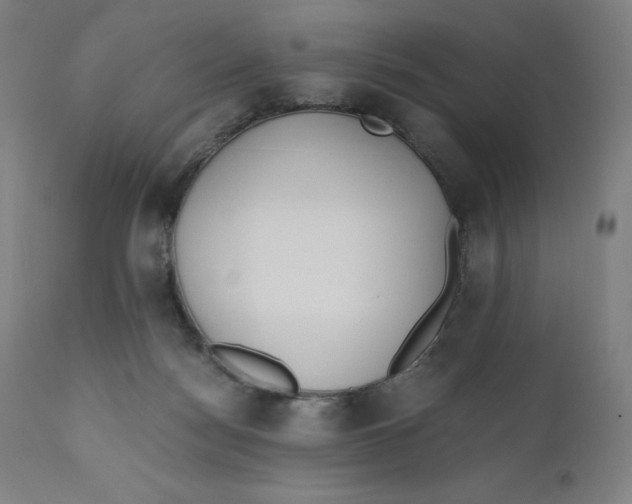 X0000110690172200907021942