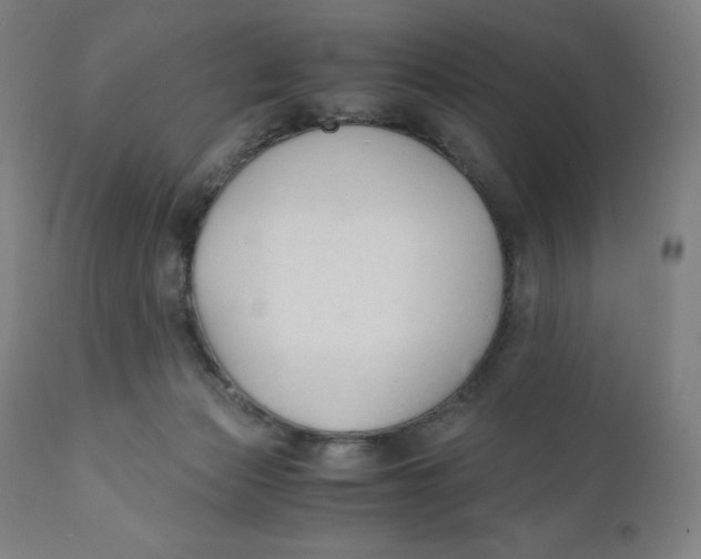 X0000110690173200907021942