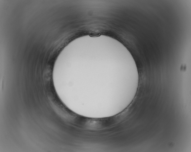 X0000110690174200907021942