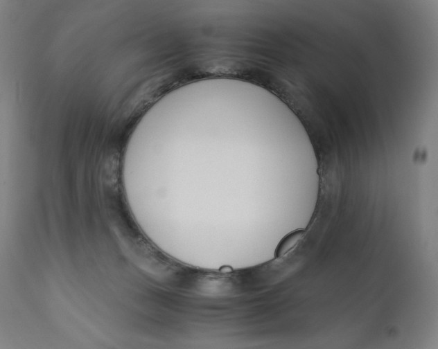 X0000110690175200907021942