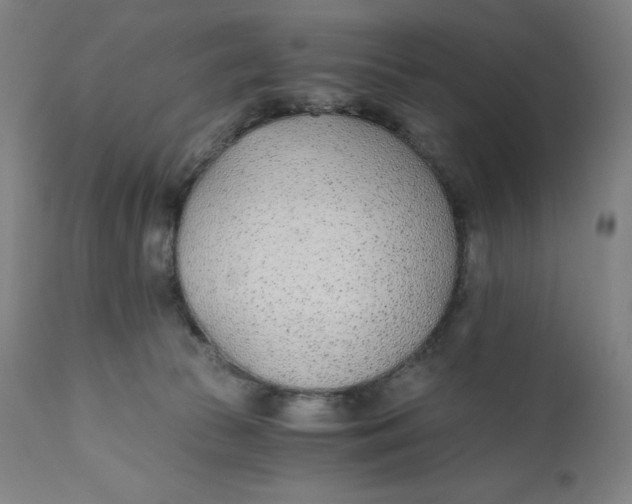 X0000110690177200907021942