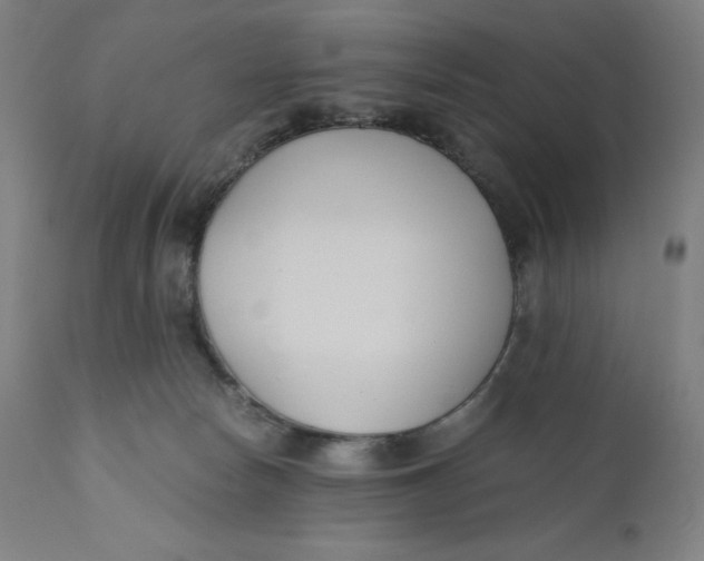 X0000110690178200907021942