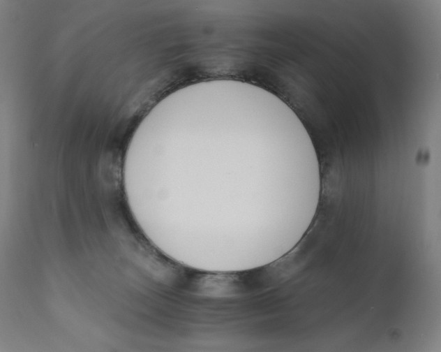 X0000110690179200907021942