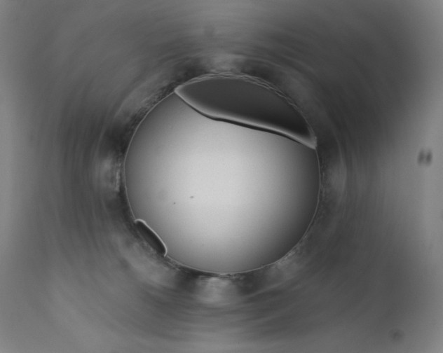 X0000110690180200907021942