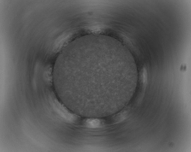 X0000110690181200907021942