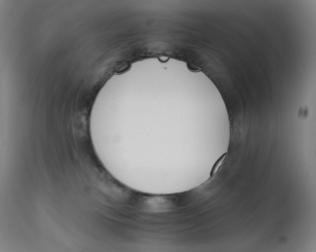 X0000110690183200907021942