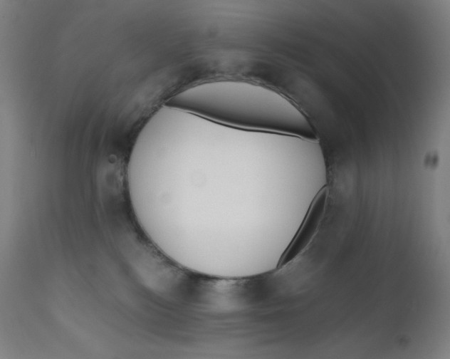 X0000110690184200907021942