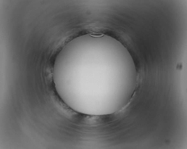 X0000110690186200907021942