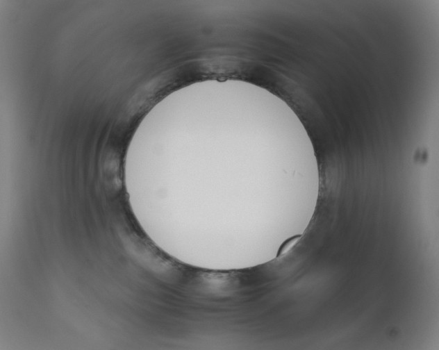 X0000110690187200907021942