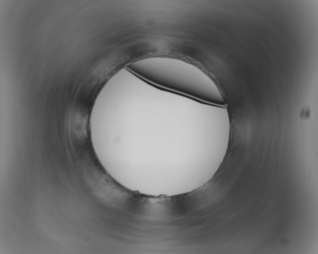 X0000110690188200907021942