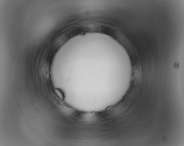 X0000110690189200907021942